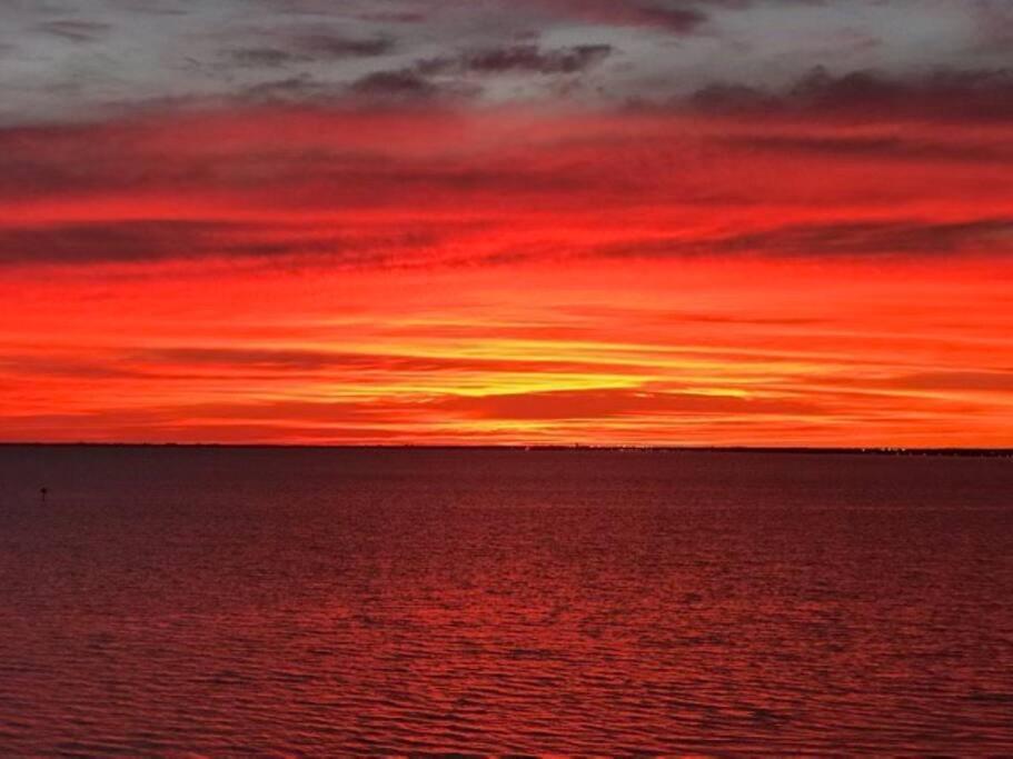 Rays By The Bay Βίλα Τάμπα Εξωτερικό φωτογραφία