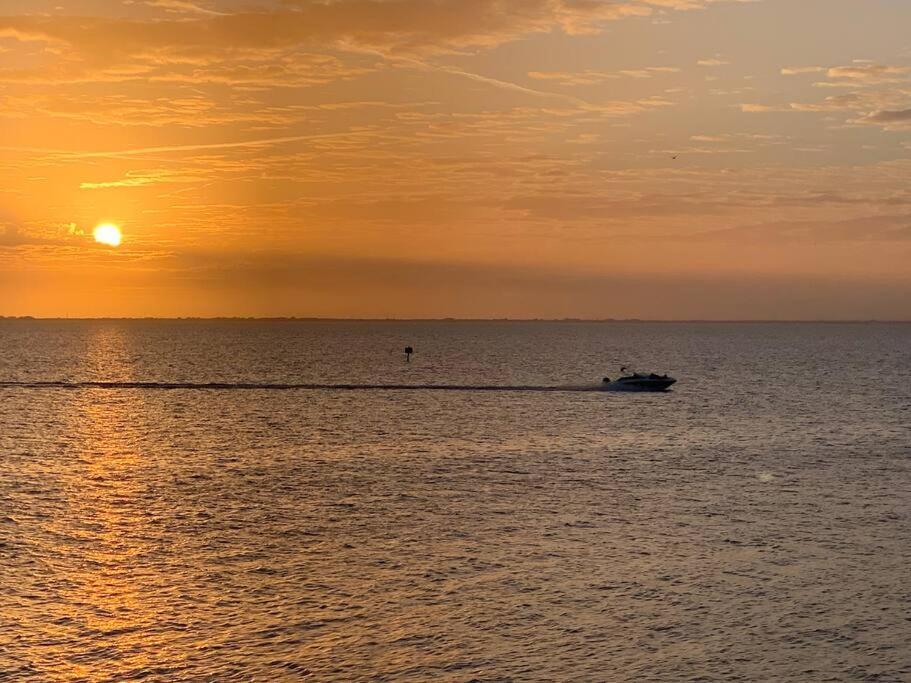 Rays By The Bay Βίλα Τάμπα Εξωτερικό φωτογραφία